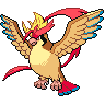 Pidgeot